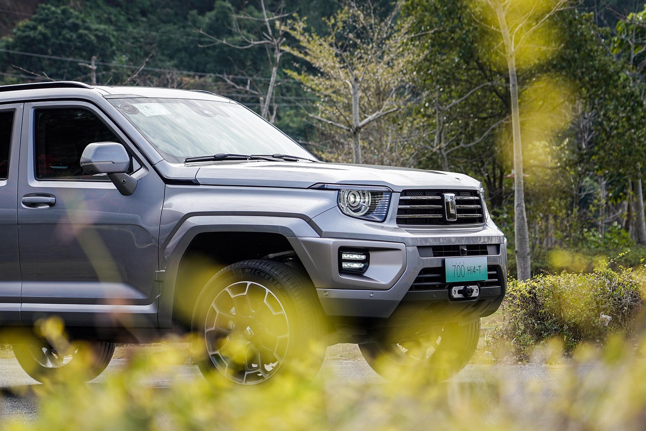 The market scale of new e